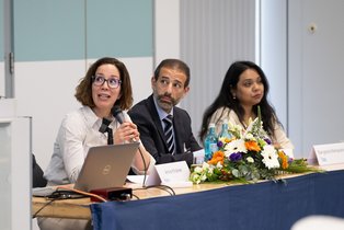 Anna Khakee, University of Malta (Chair). Assem Dandashley, Sangeeta Mahapatra